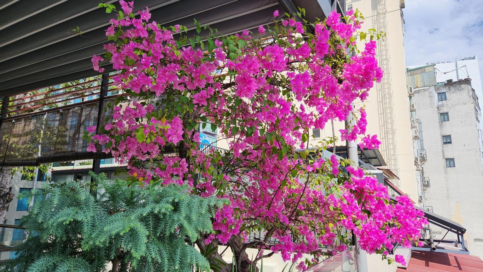 The Umi Hotel مدينة هوشي منه المظهر الخارجي الصورة